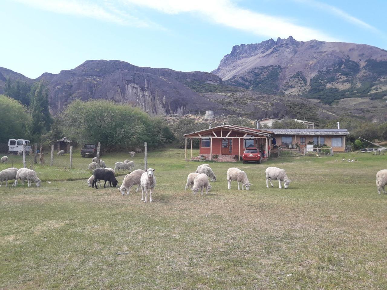 Hospedaje El Juncal Puerto Ingeniero Ibanez Luaran gambar